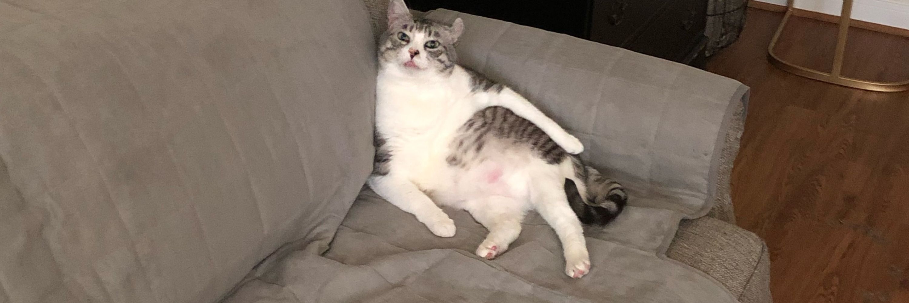 BigMamaDil