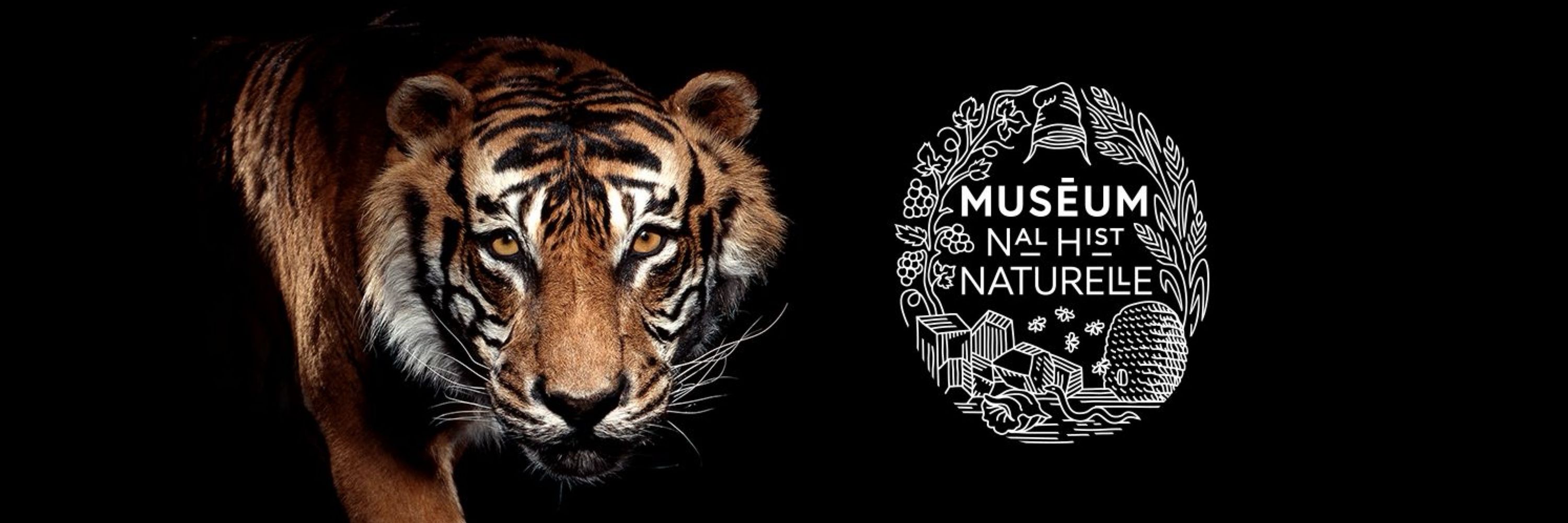 Muséum national d’Histoire naturelle