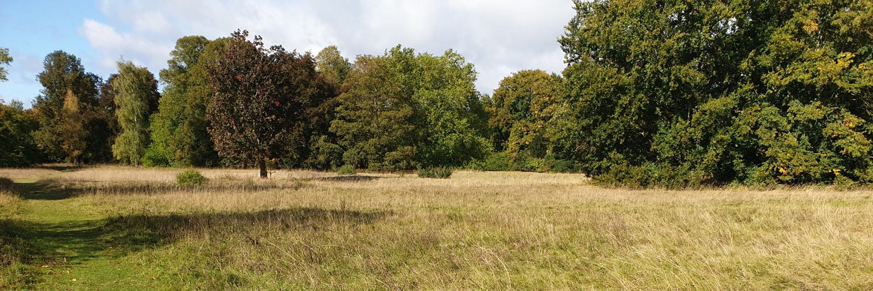 EU Grassland Watch