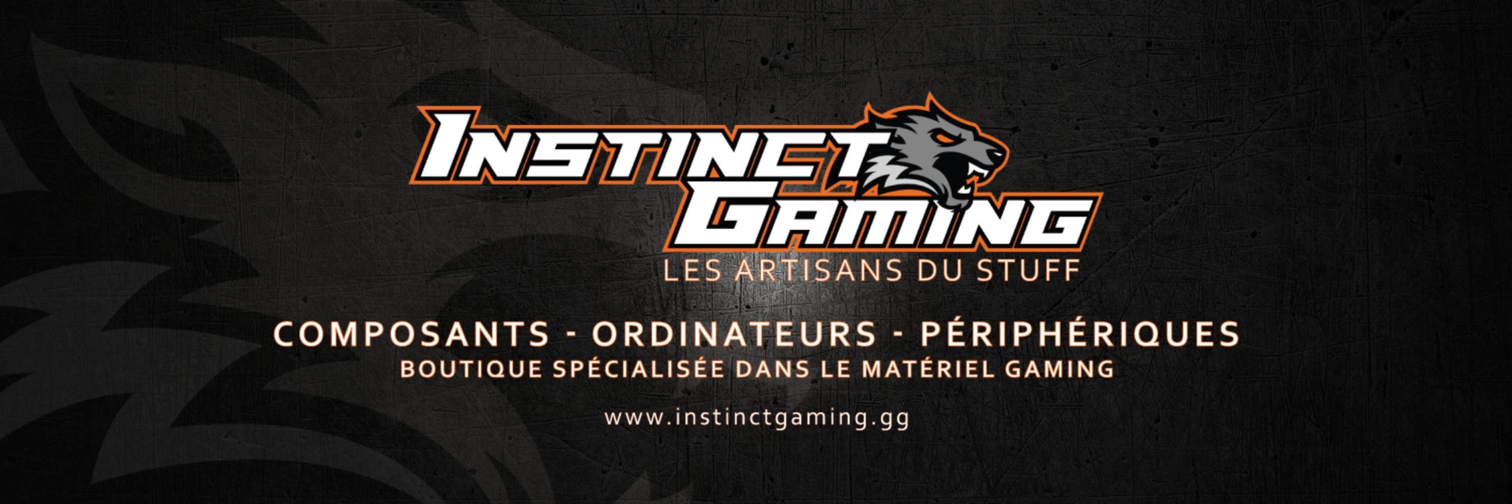 Instinct Gaming.gg
