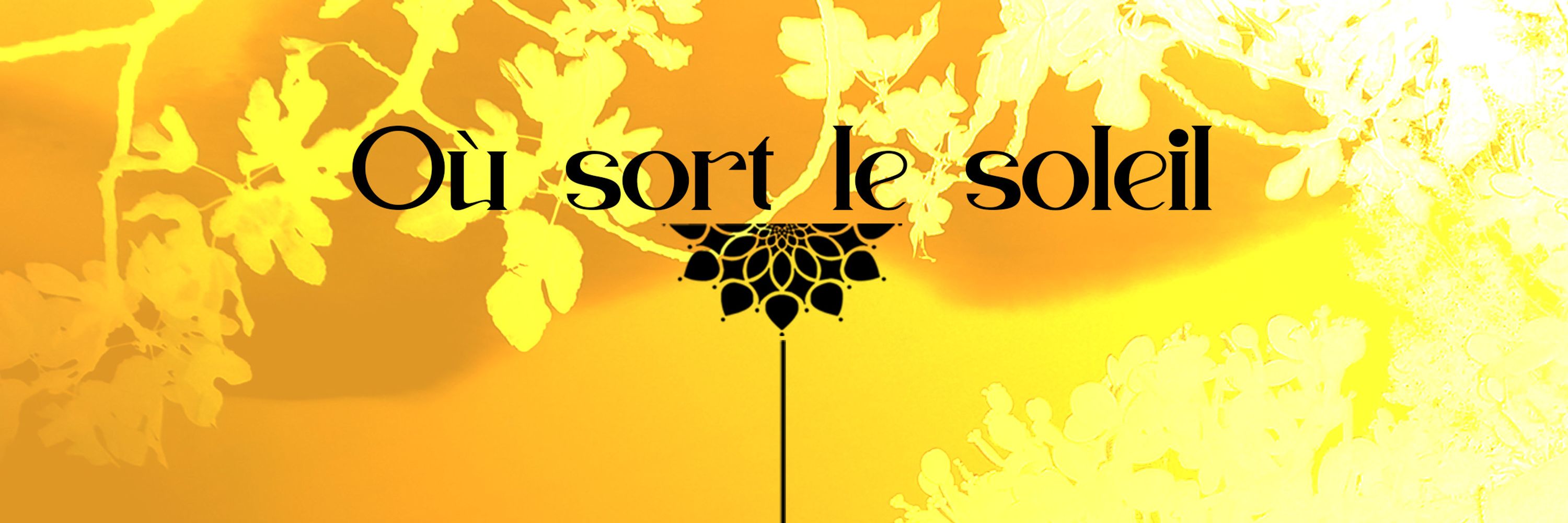 Où sort le soleil