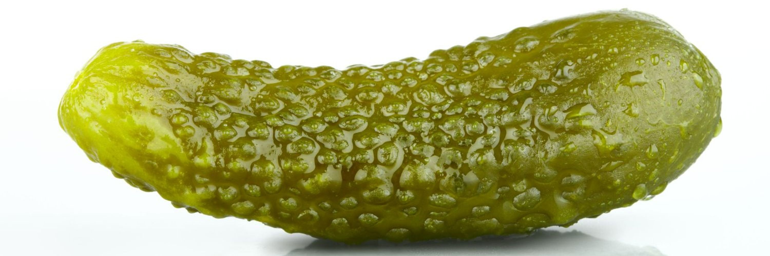 PICKLE PRIEST🛵😼🚀🏳️‍🌈