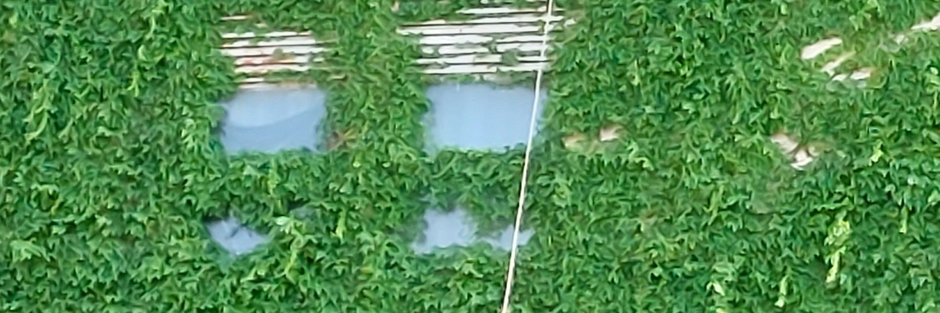 A.kooshesh