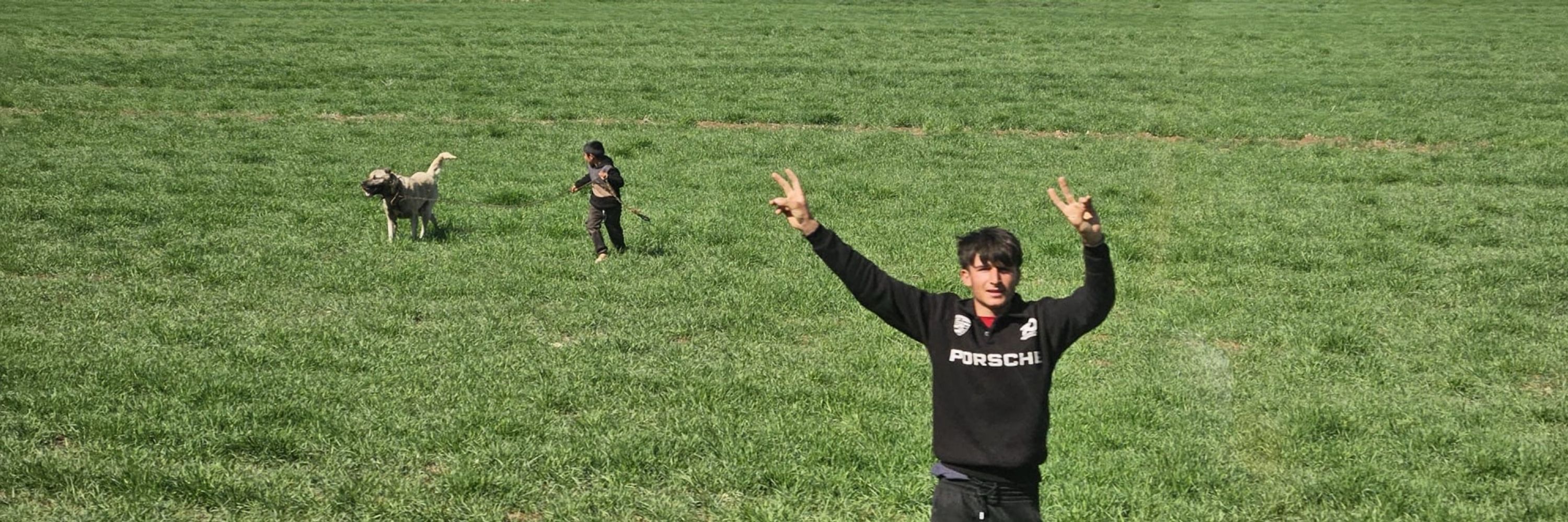 leylalaşmalütfen