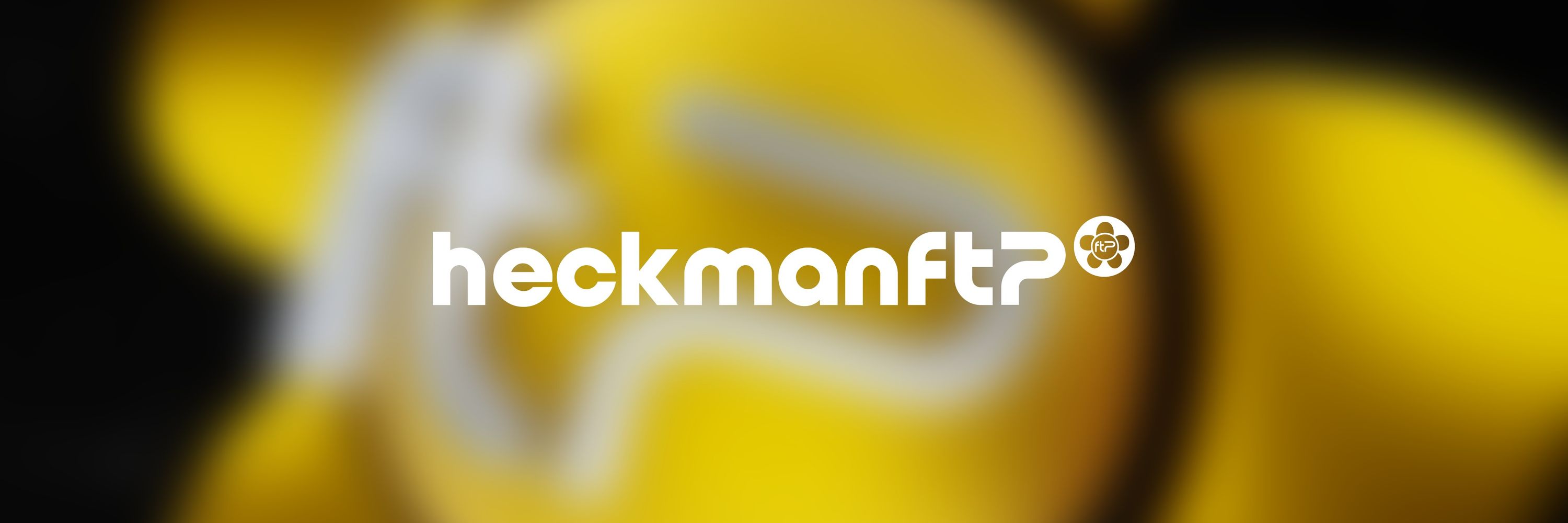 HeckmanFT7 🐰