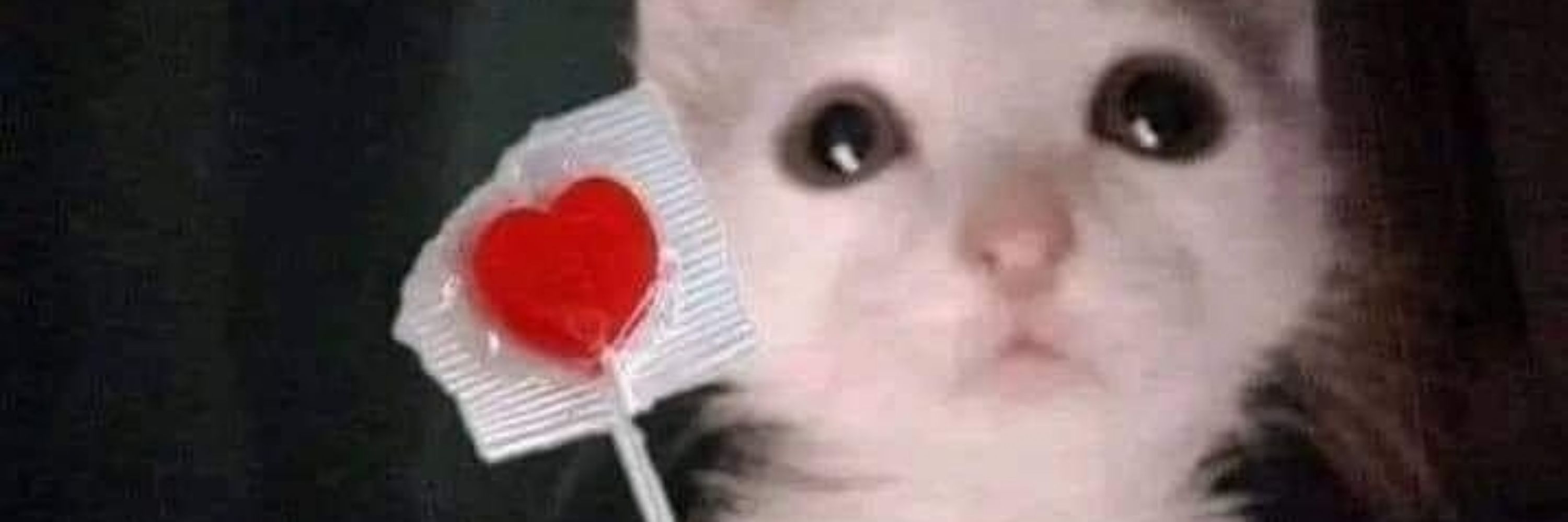 lucaixs