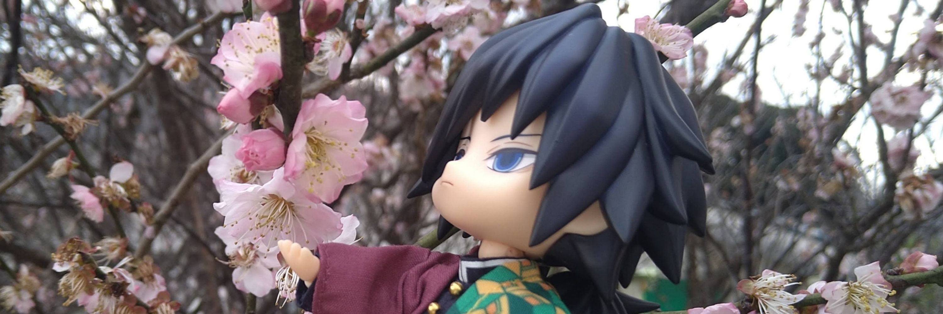 🌺蕾🌺
