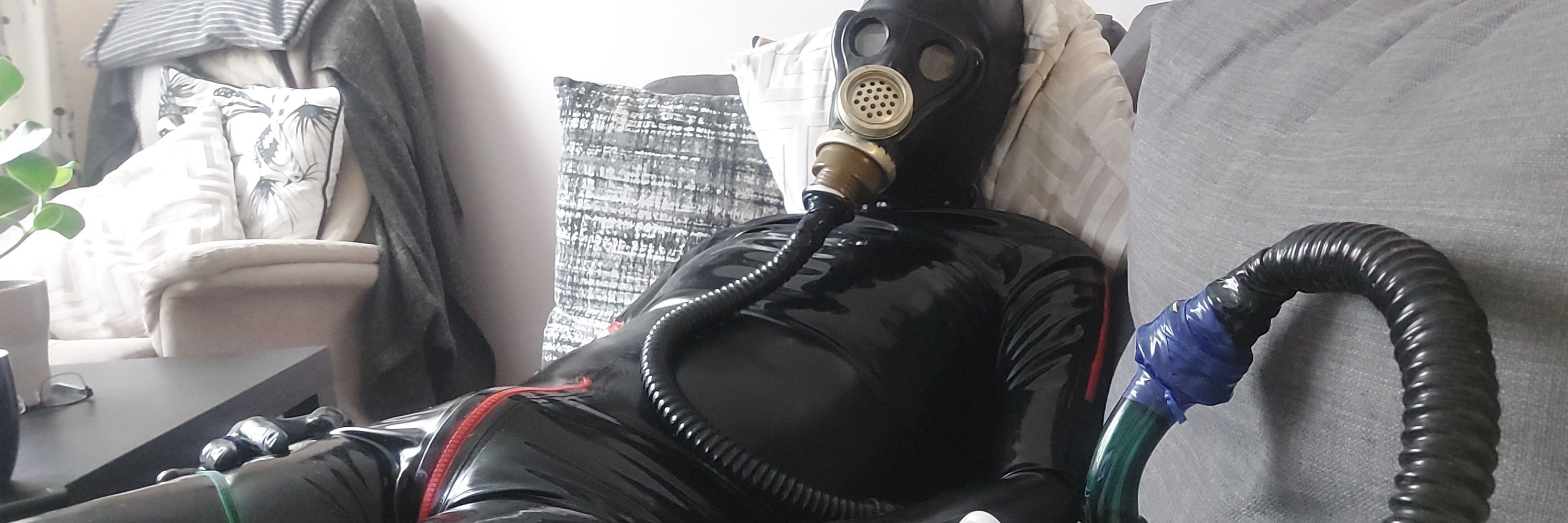 DirtyRbbrPig