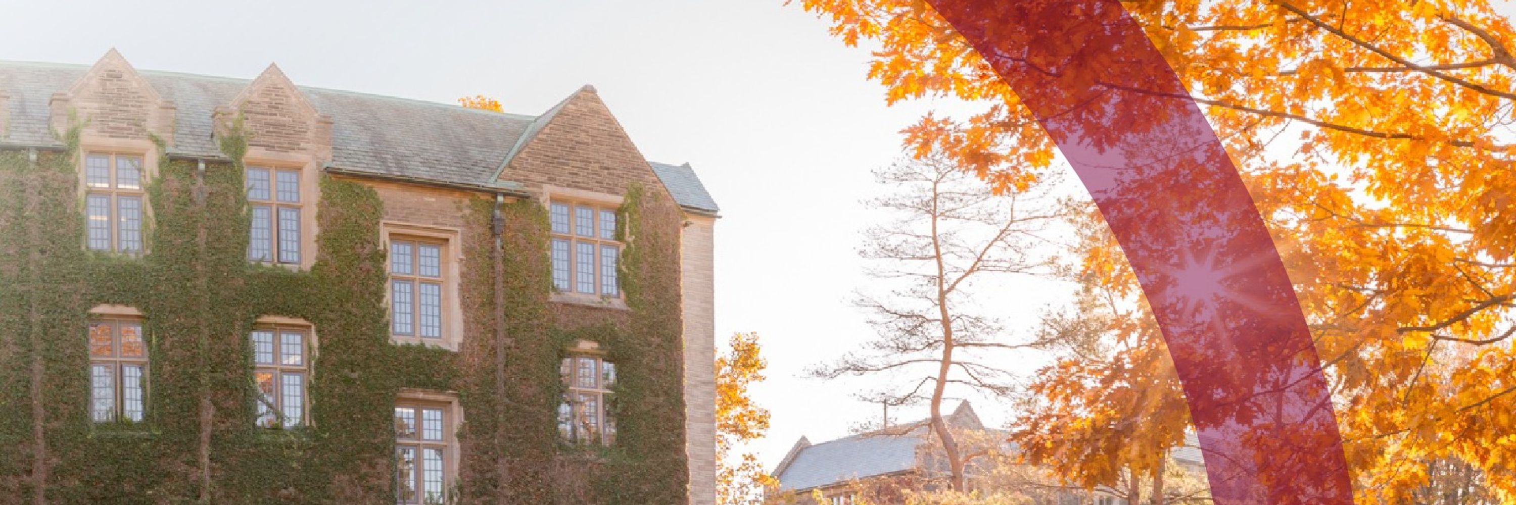 McMaster Faculty of Health Sciences