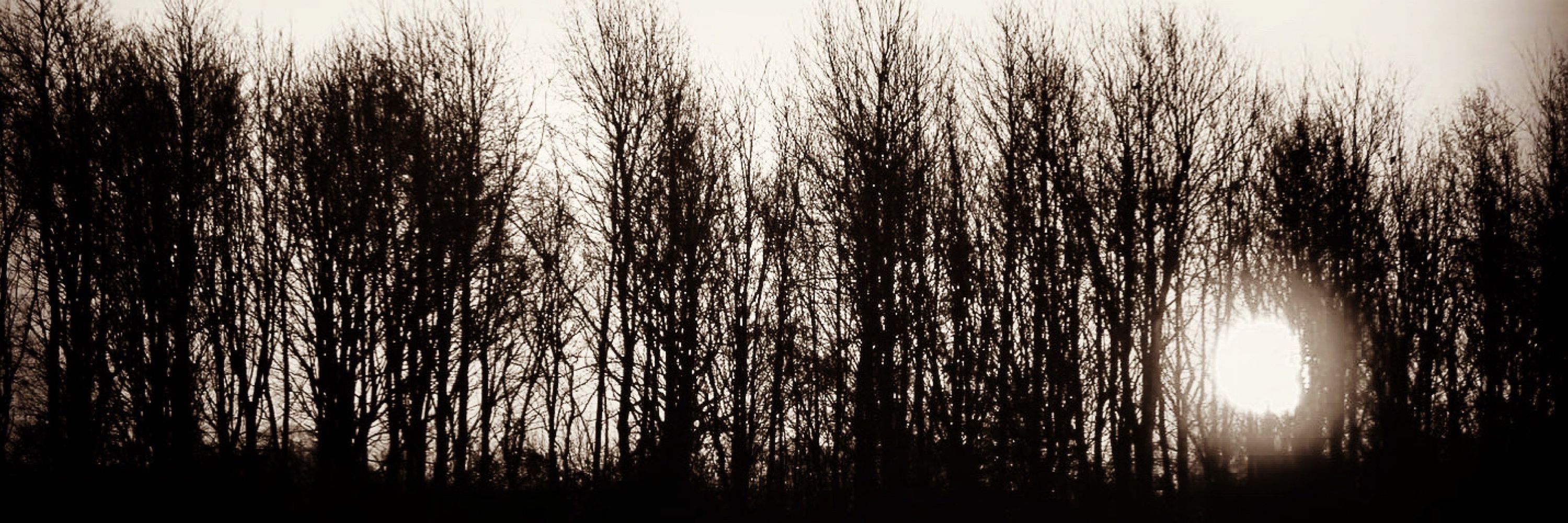 Mike Marsham