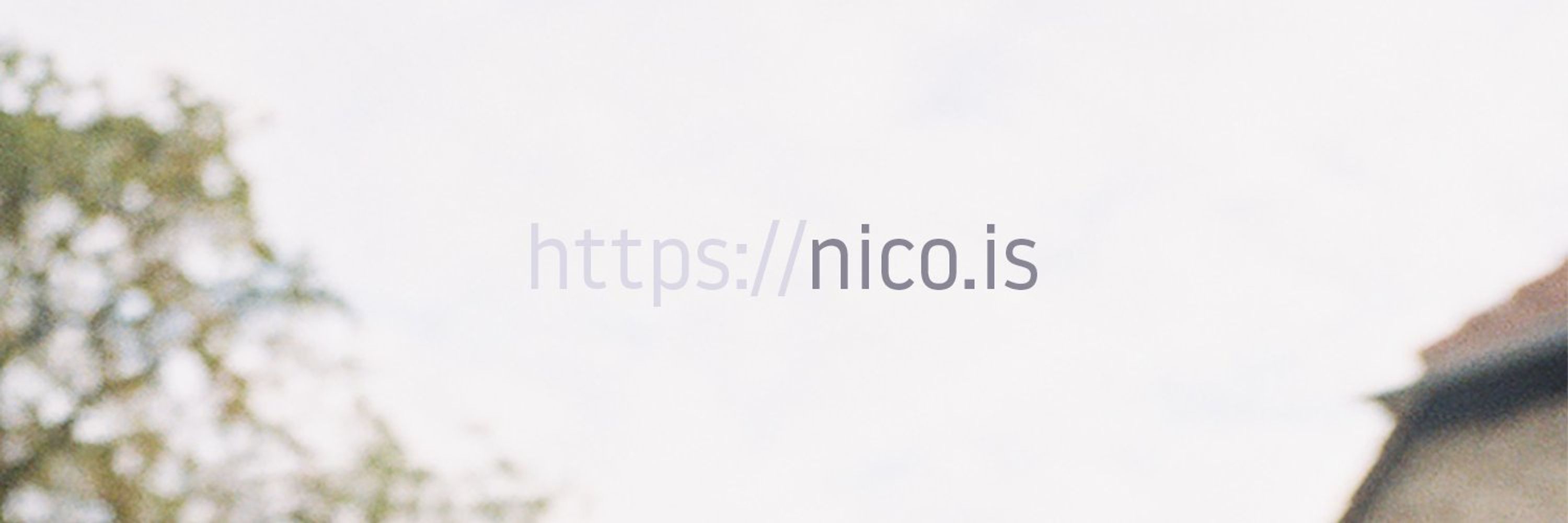 Nico Knoll