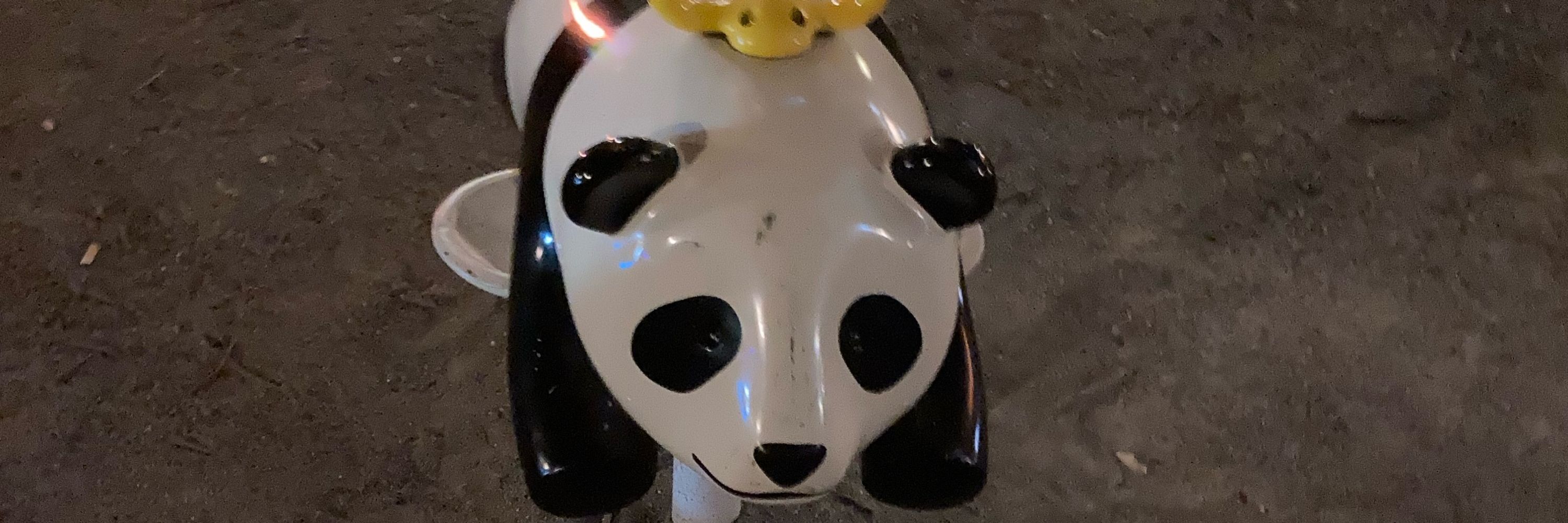 めっこんじゃって