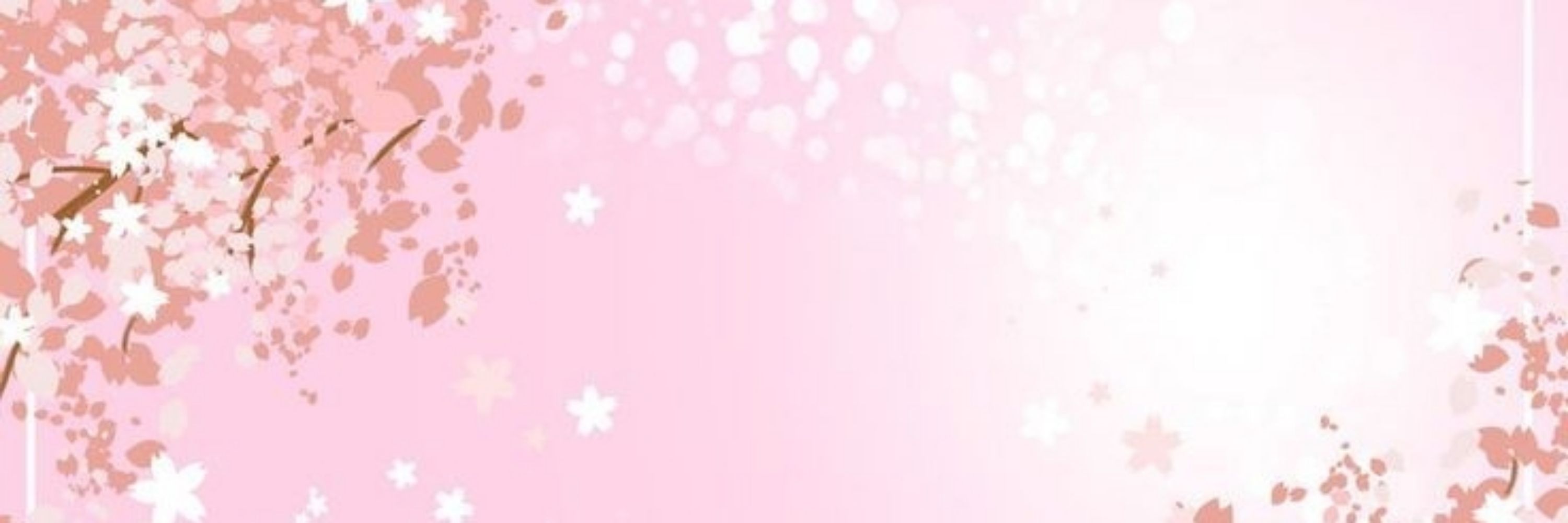 🌸|Tsu|🌸