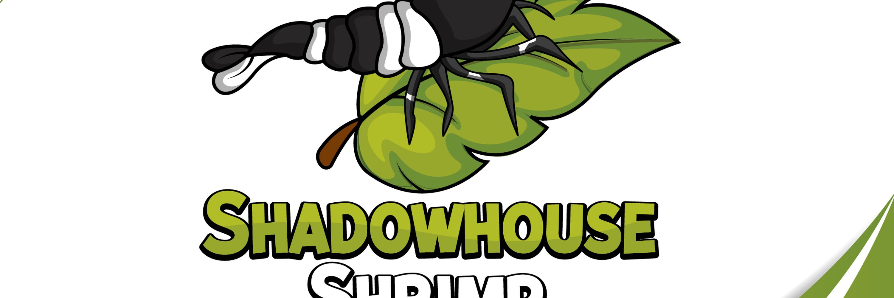 Shadowhouse Shrimp 