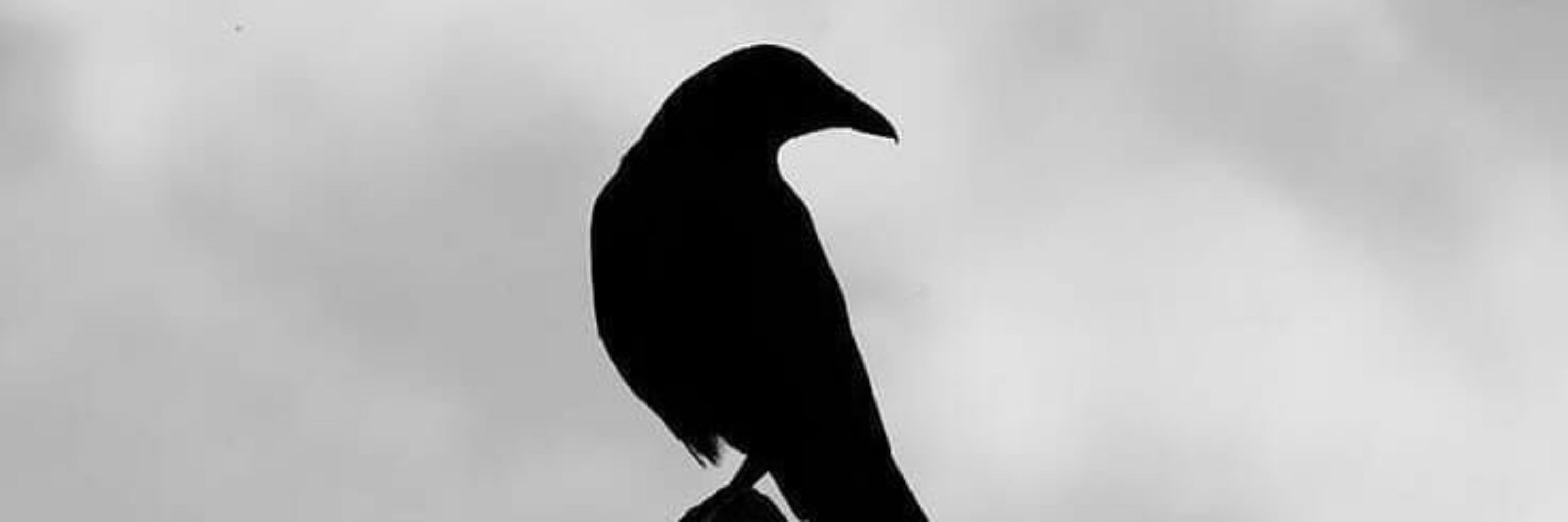 Panyk #ordemparanormal