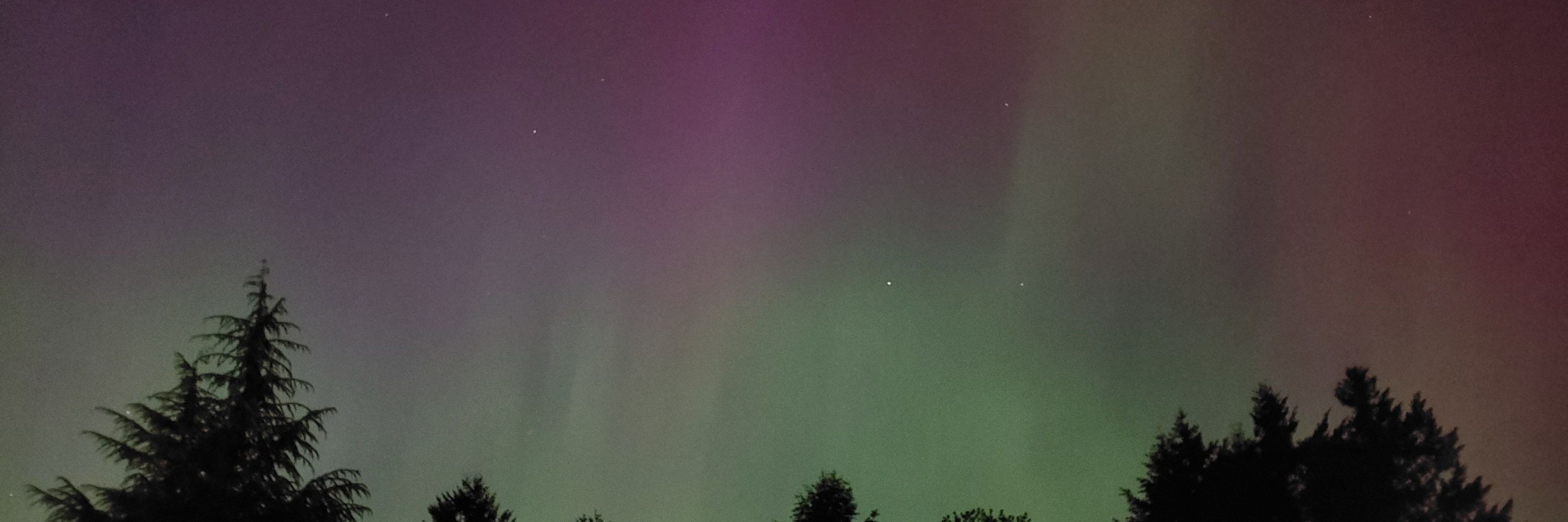 Pnwbluelight