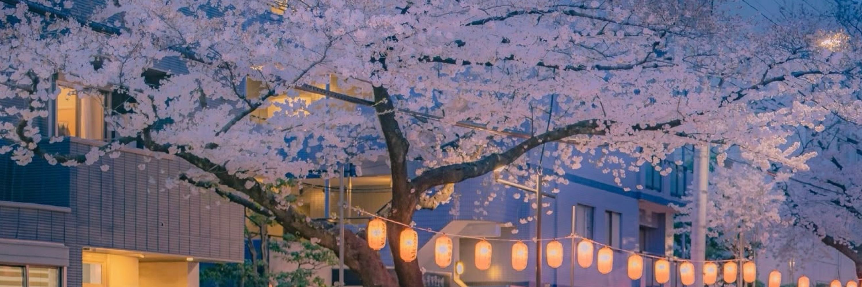 カミー ˚✧₊