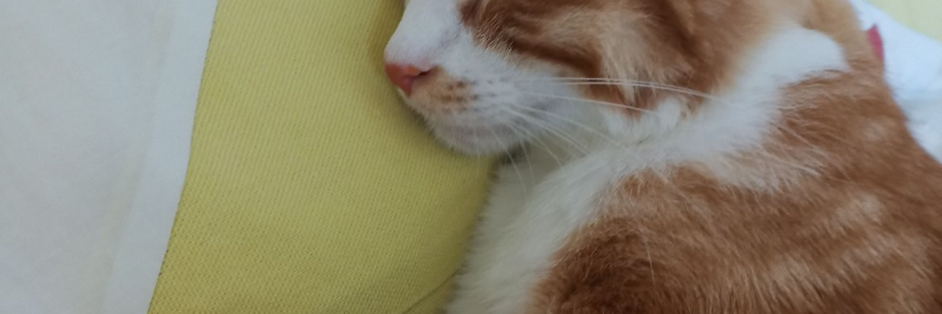 Ru