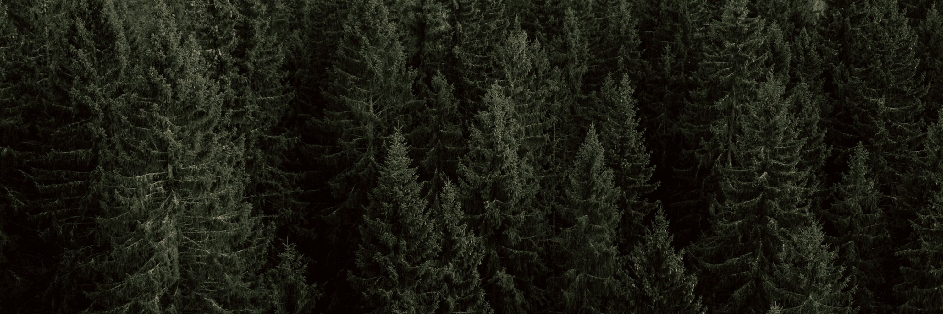 Pride Pine