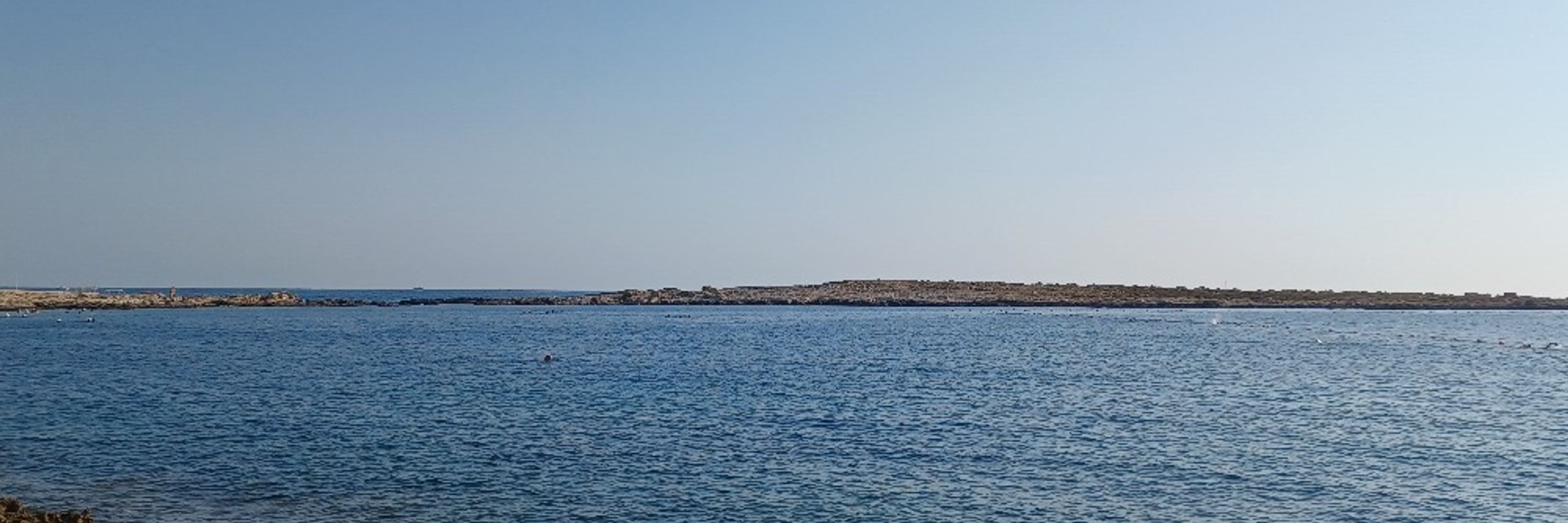 Amato_0