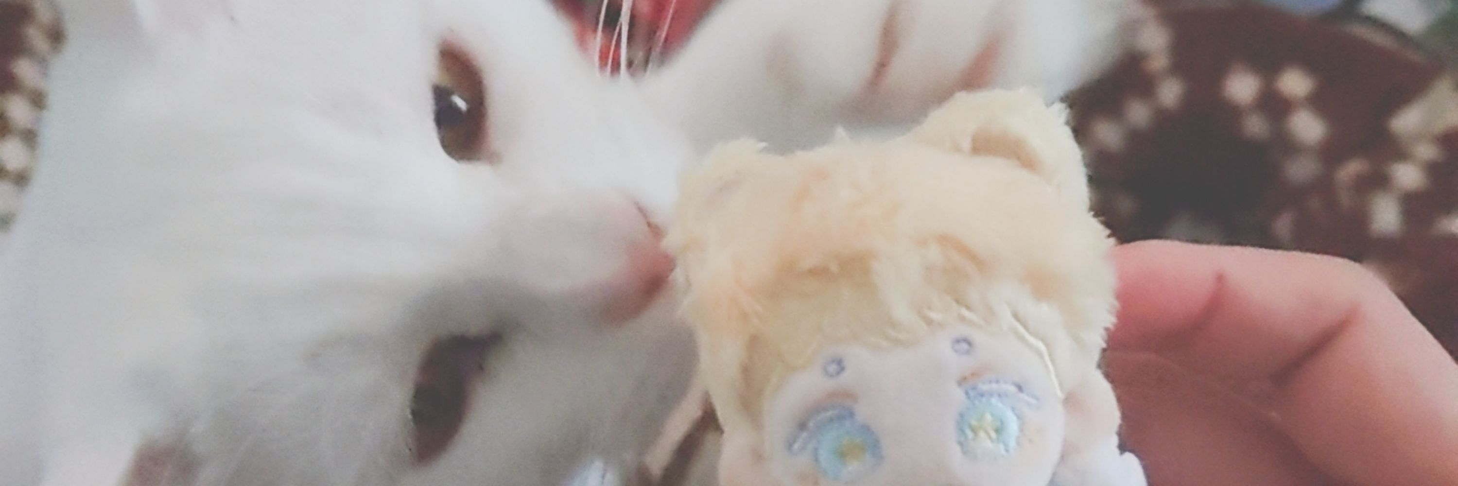 がい