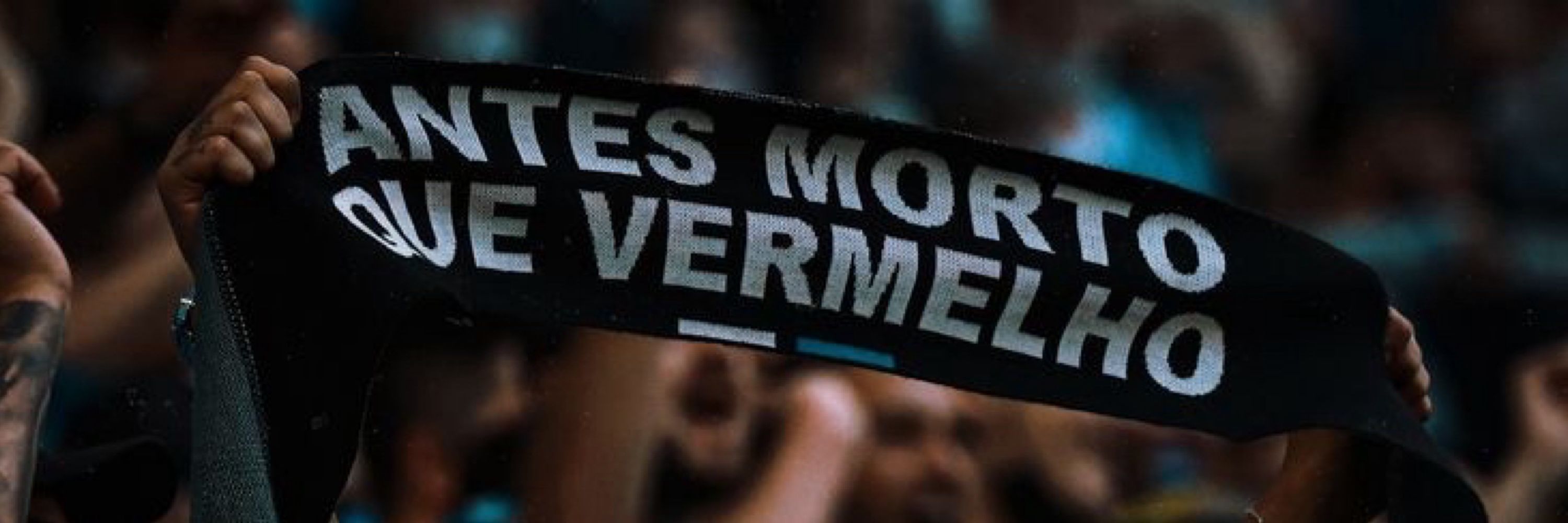 pedro 🇪🇪