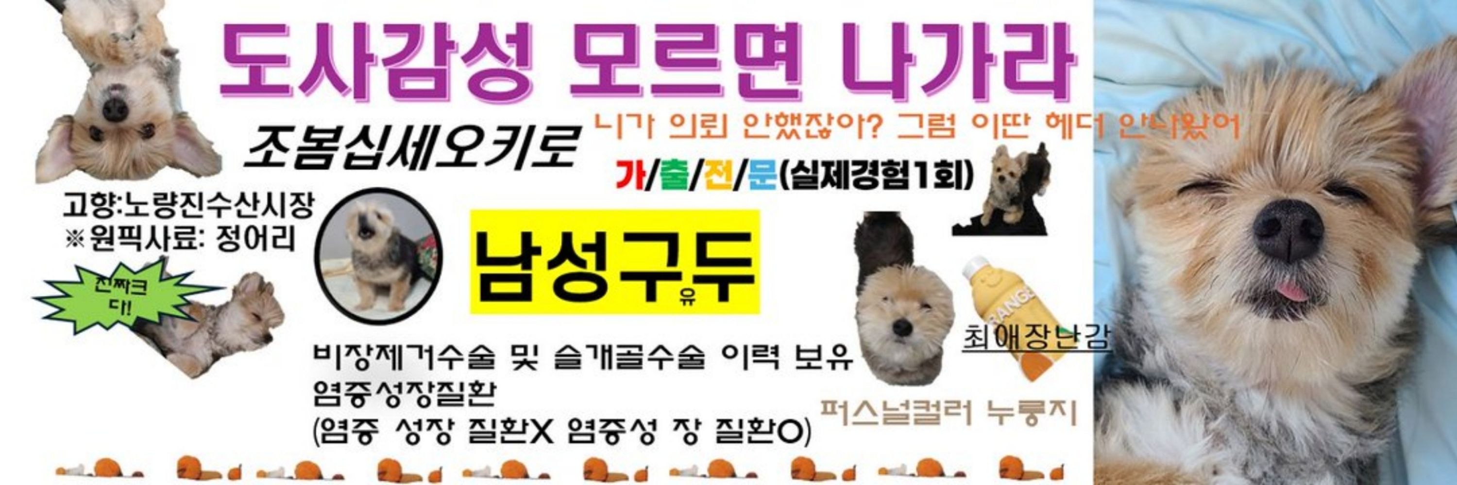 꿀주먹도사님의 부하1