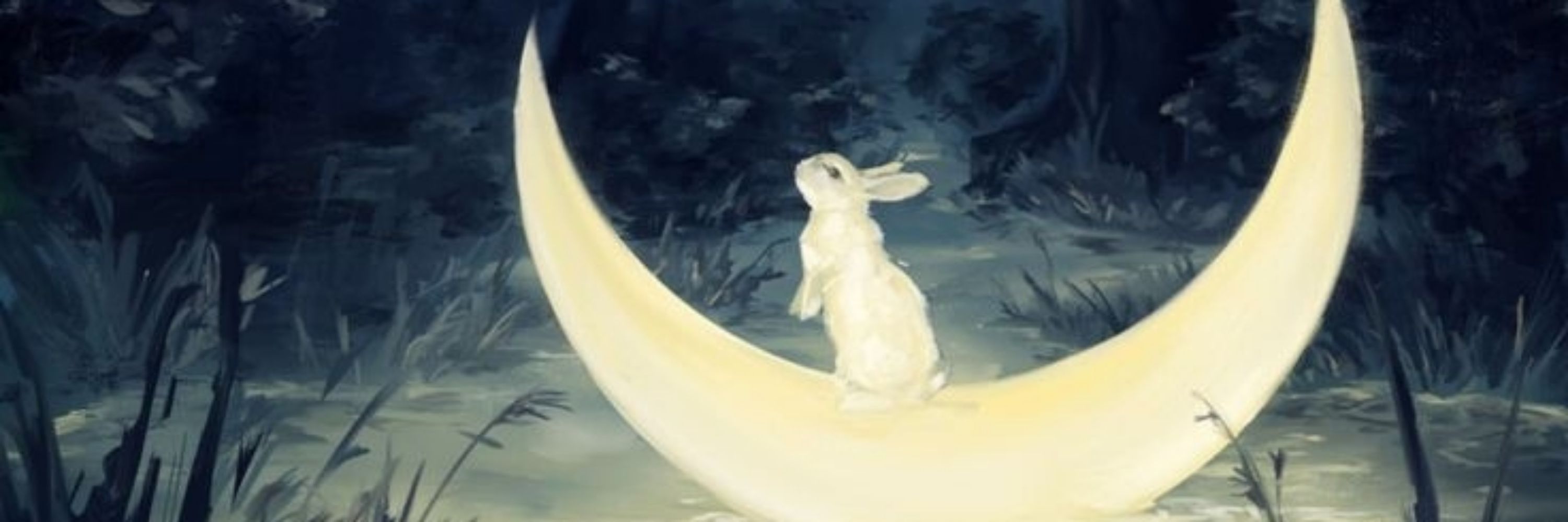 moon bunny 🥕