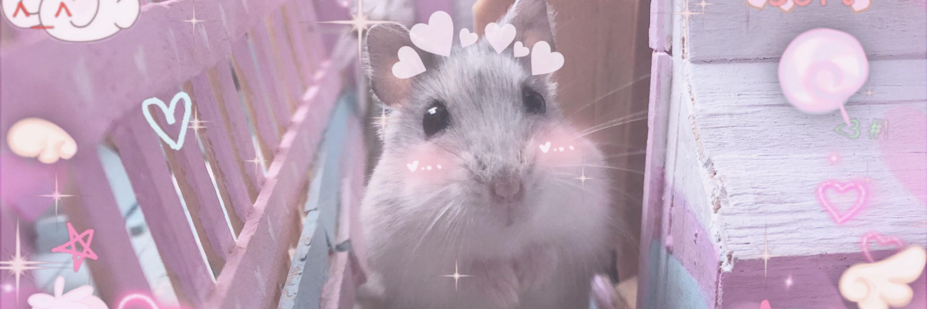 Abi 🦇