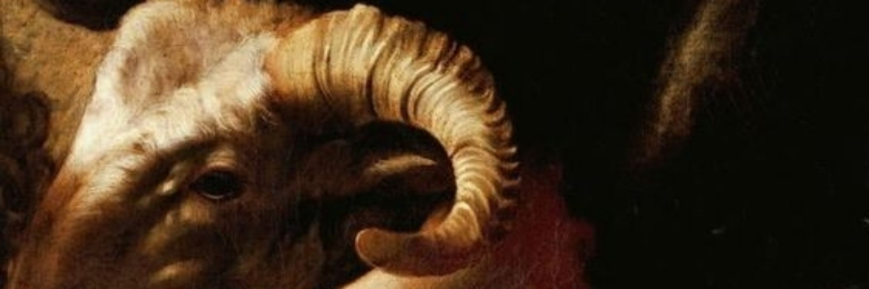 avanci 