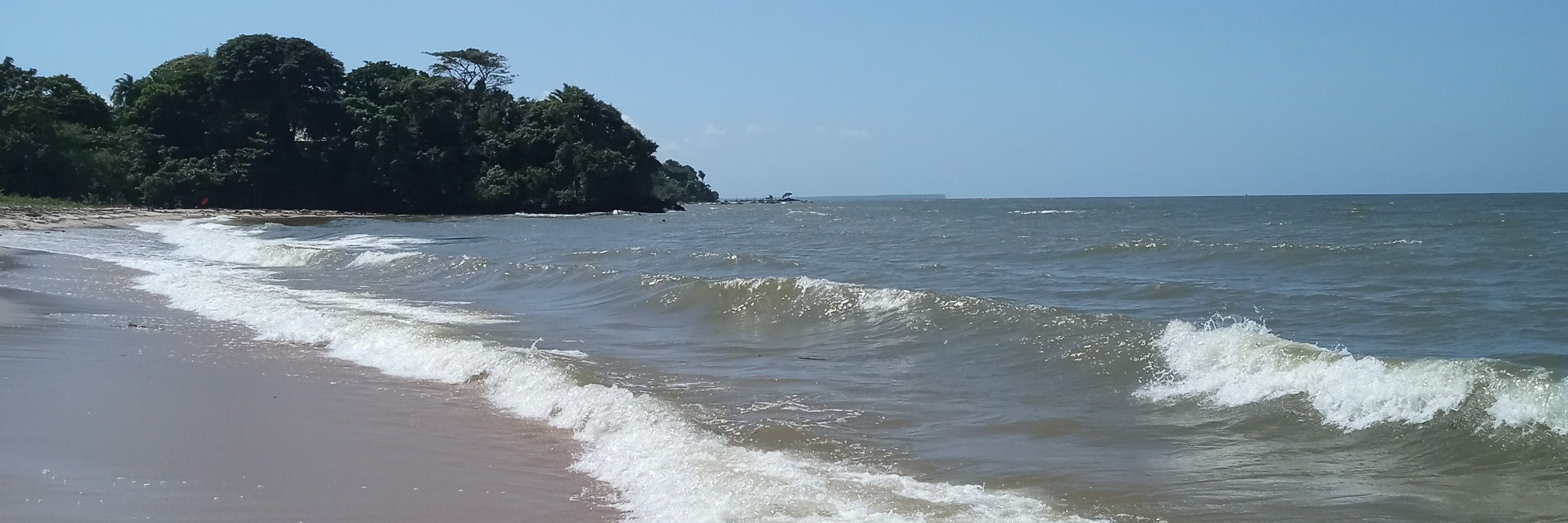Flavet