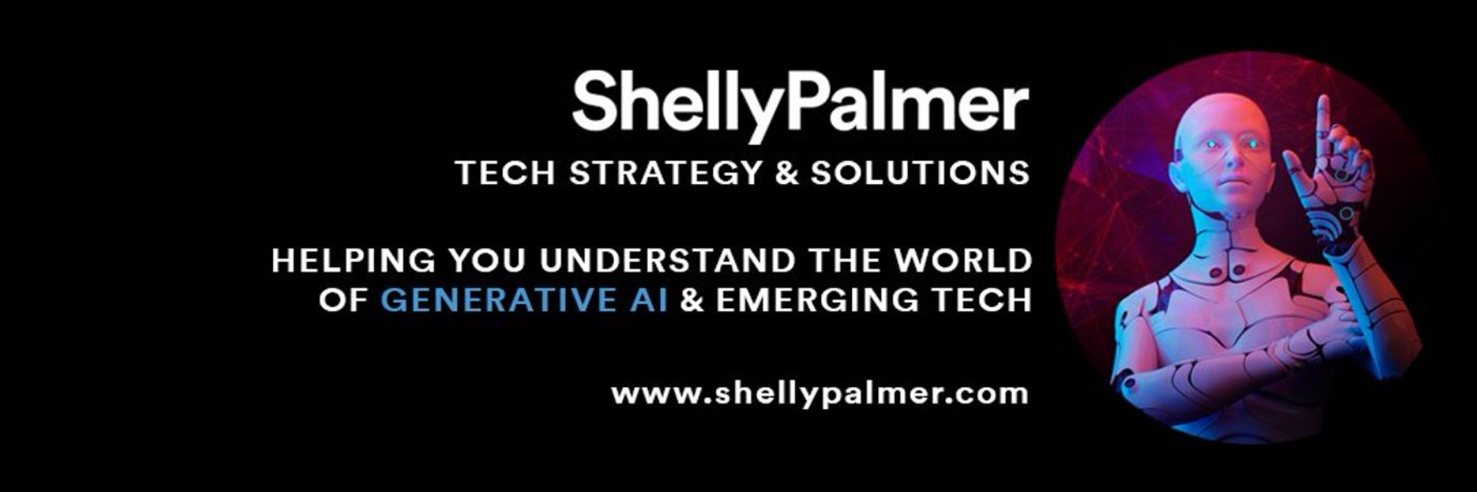 Shelly Palmer