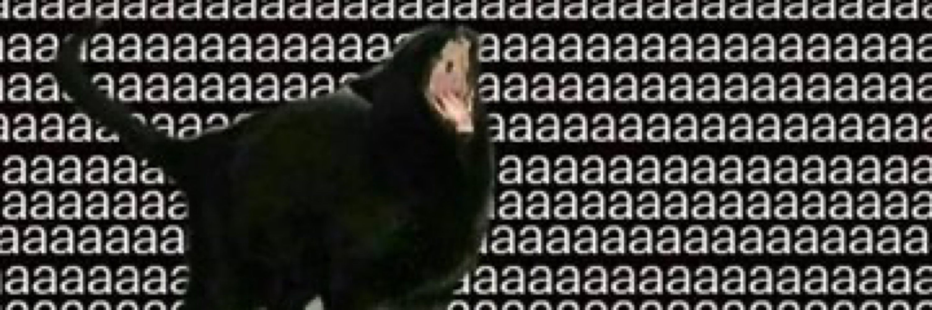 maílson