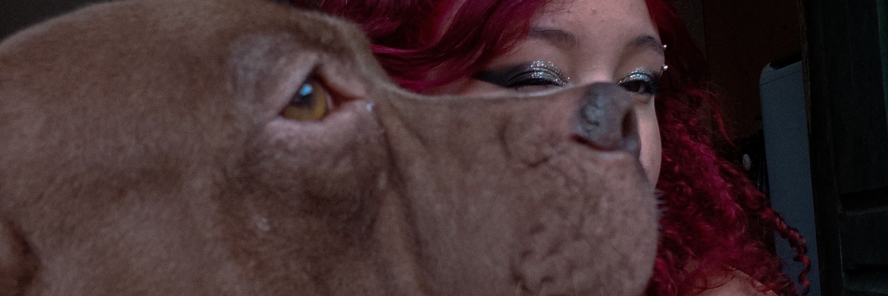 catarinax