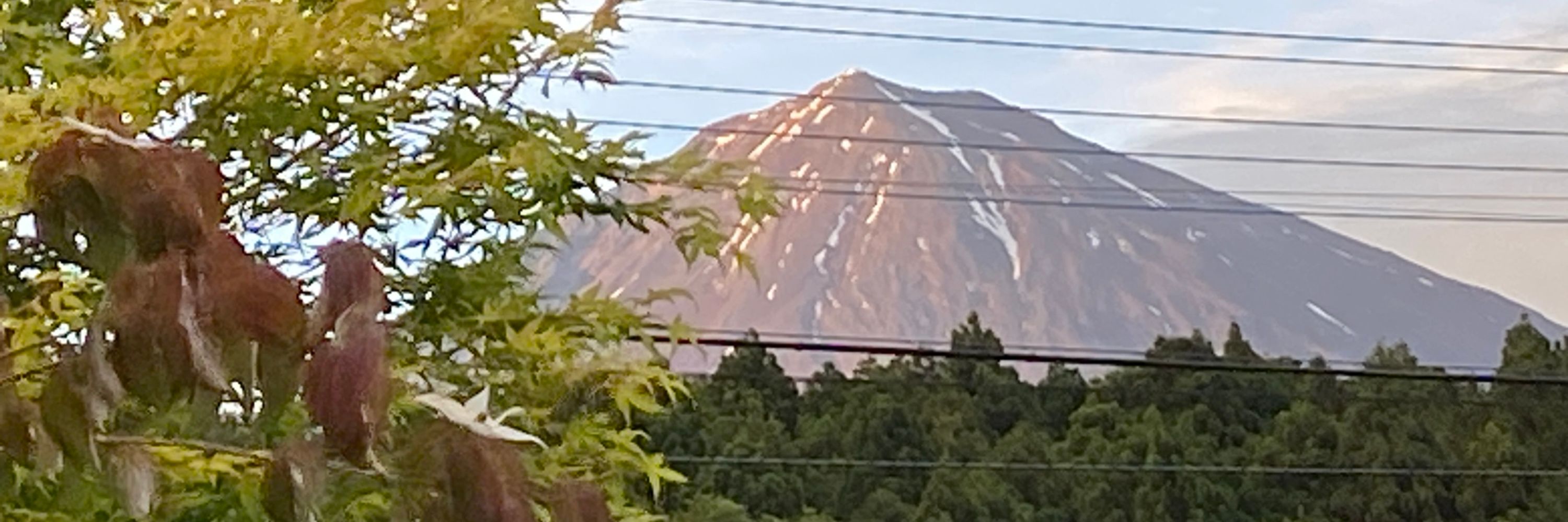 Mount Fuji Garden