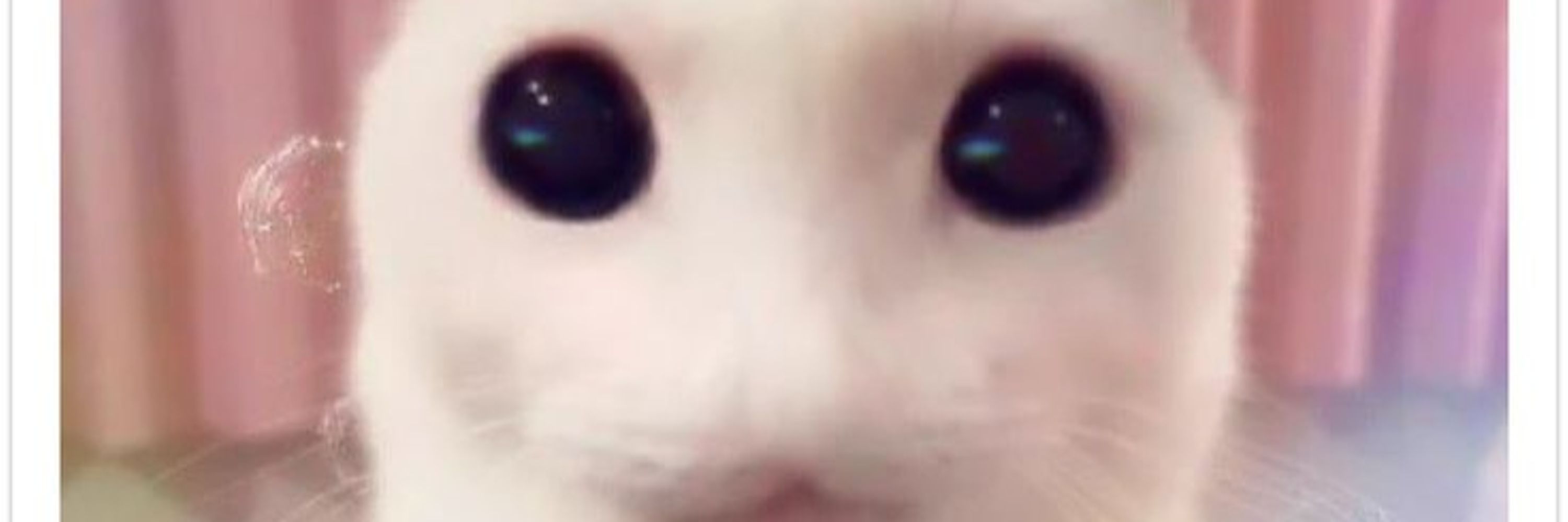 otterly