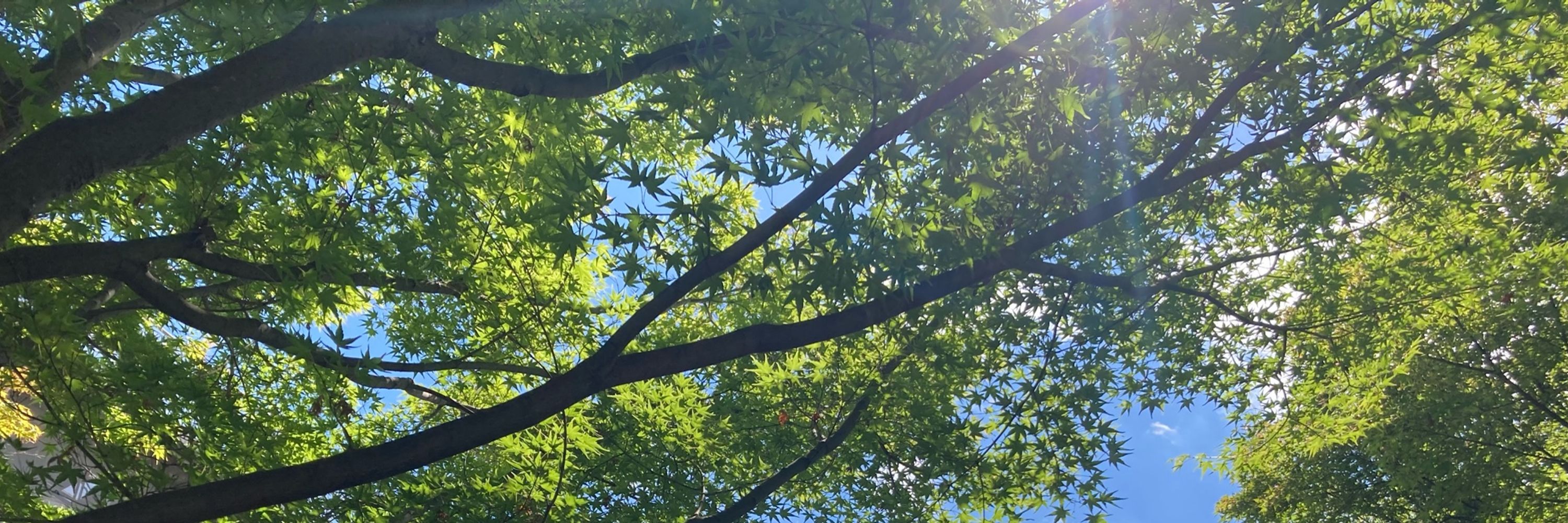 豊森　卯来