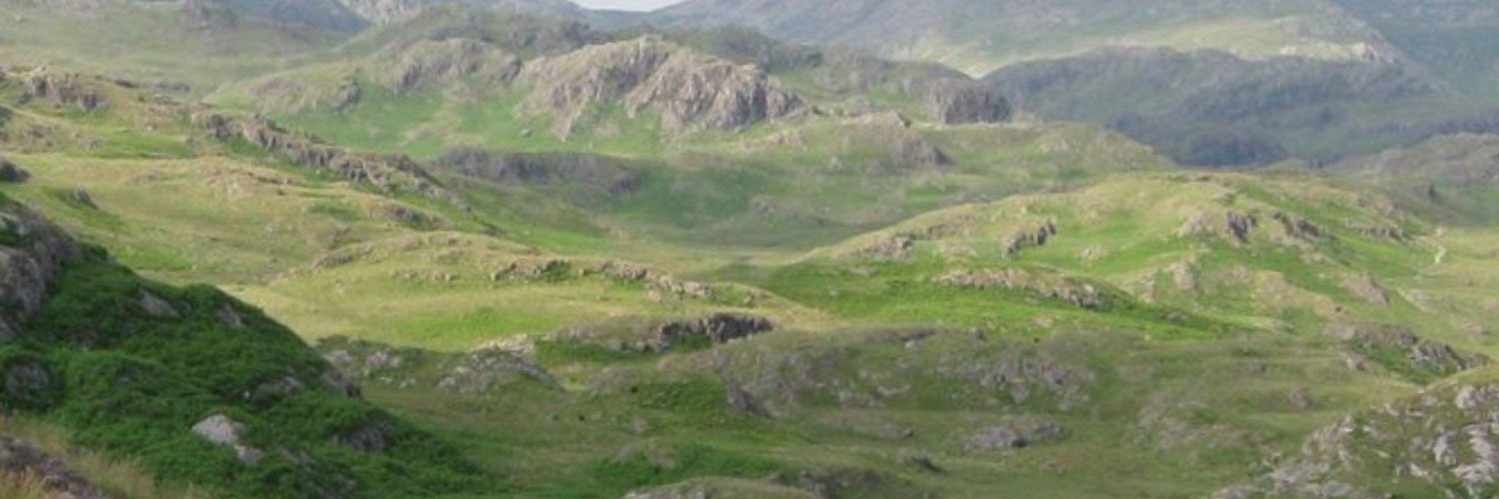 AndersongEsq