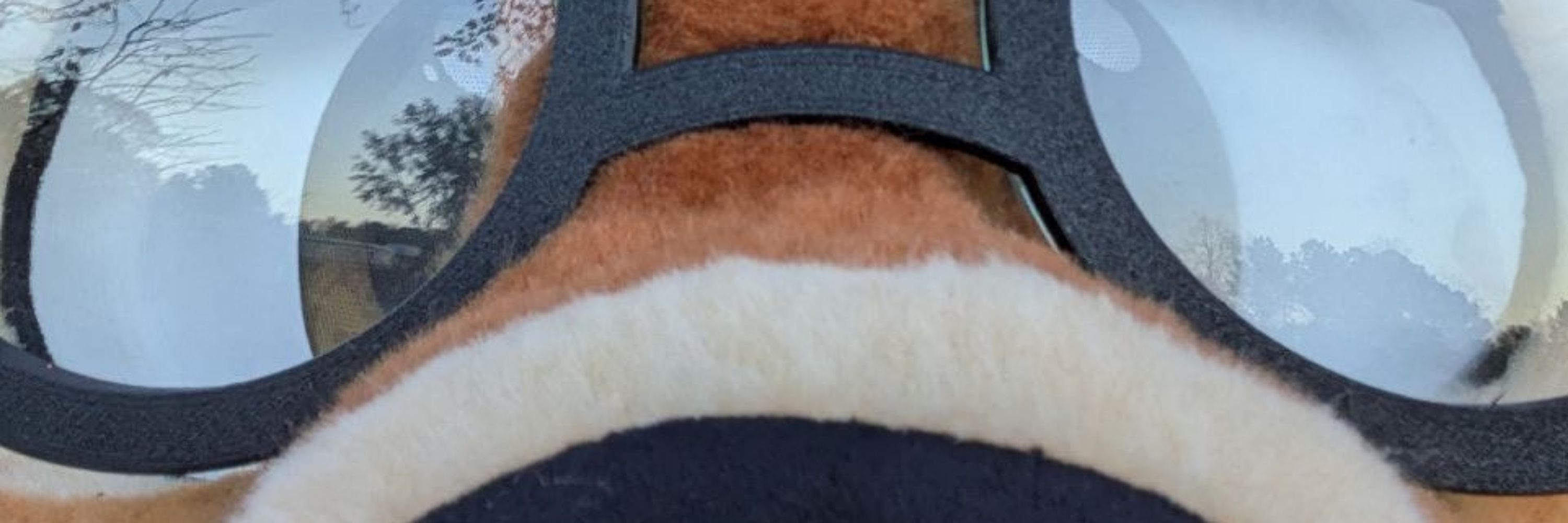 Birch!!! 🦌🍂 🔜 FWA
