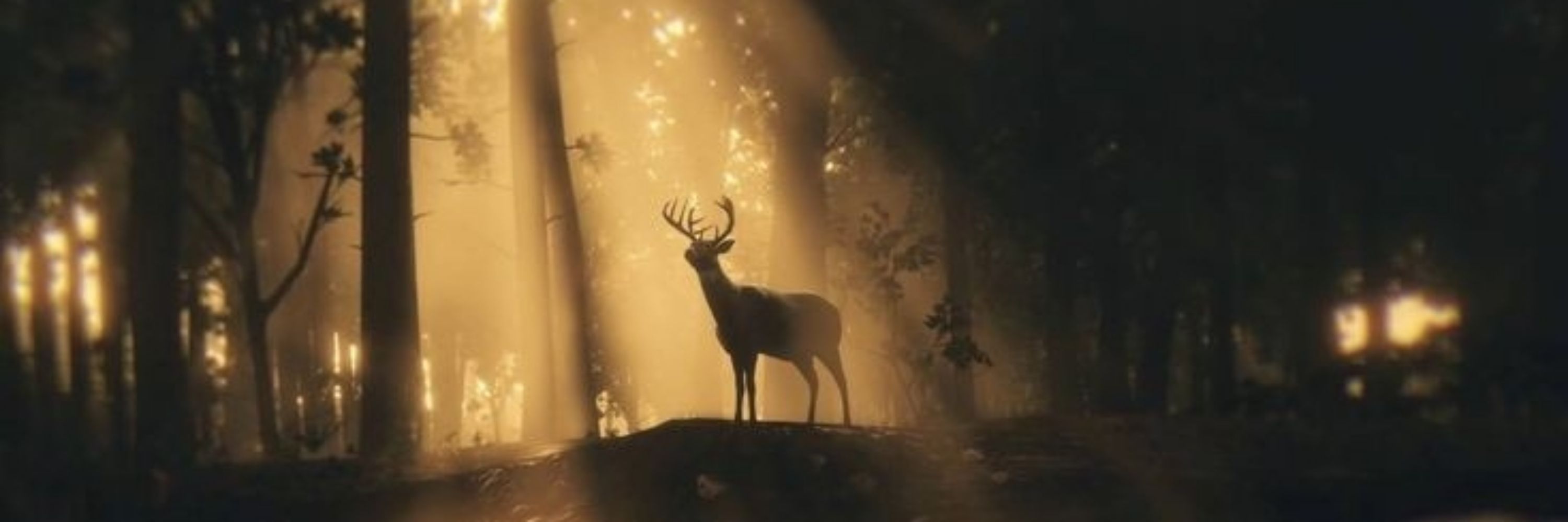 ☀️Ajax🦌