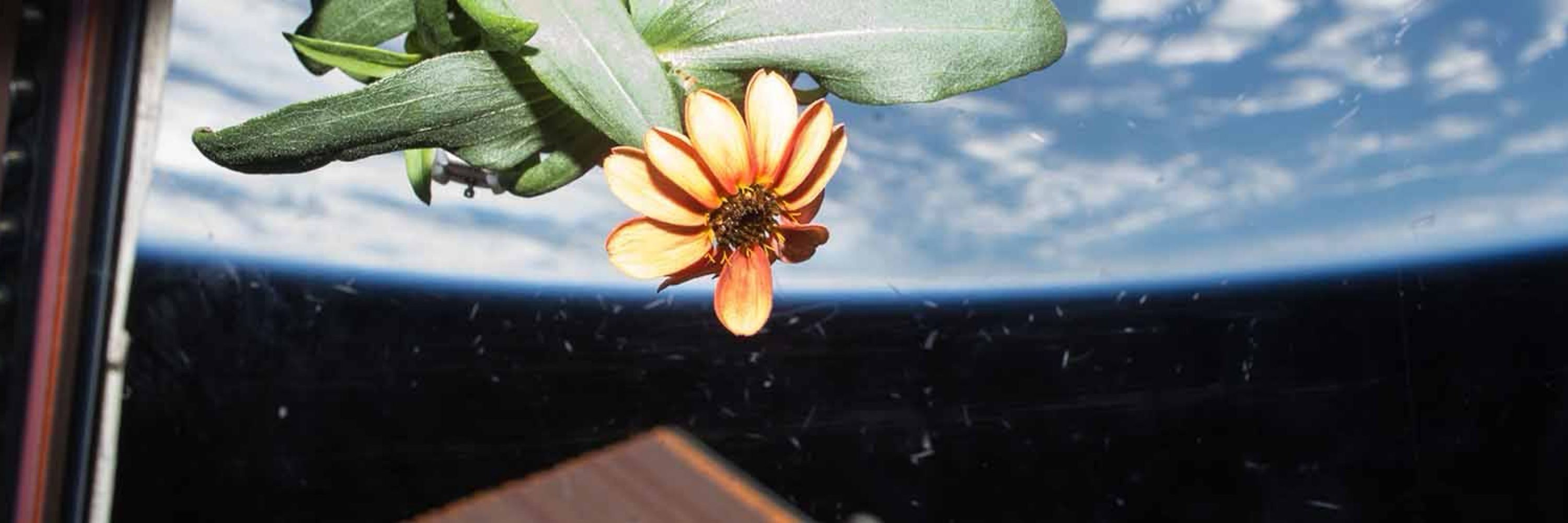Astrobotany.com