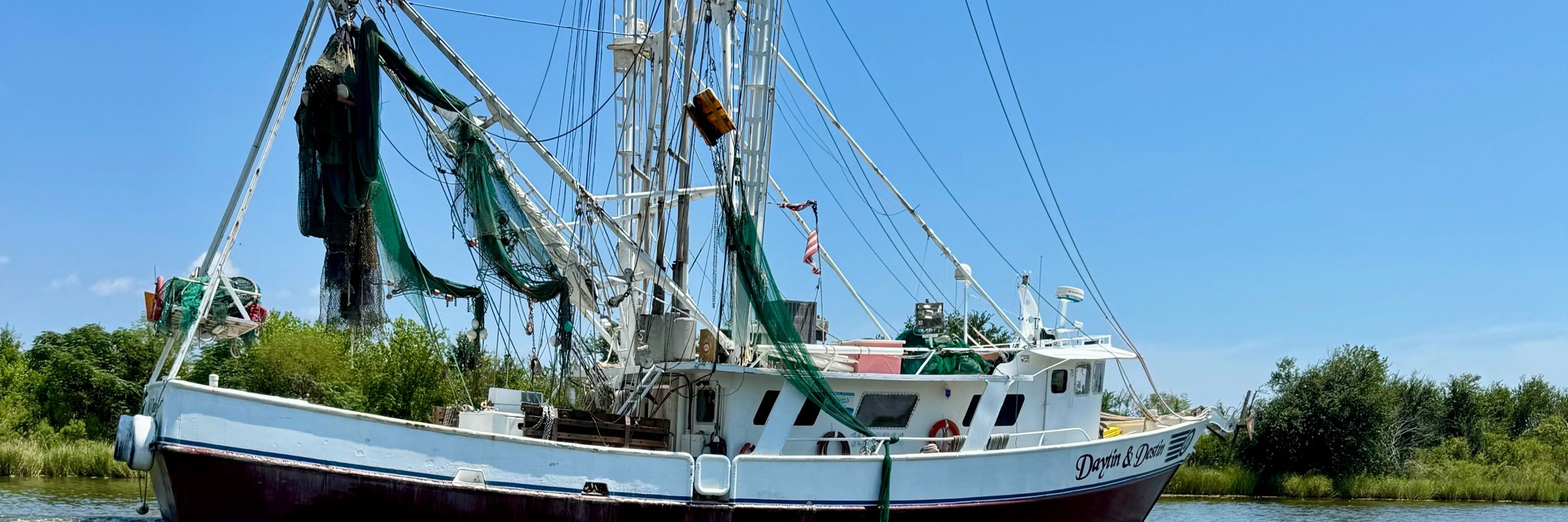 Louisiana Blue