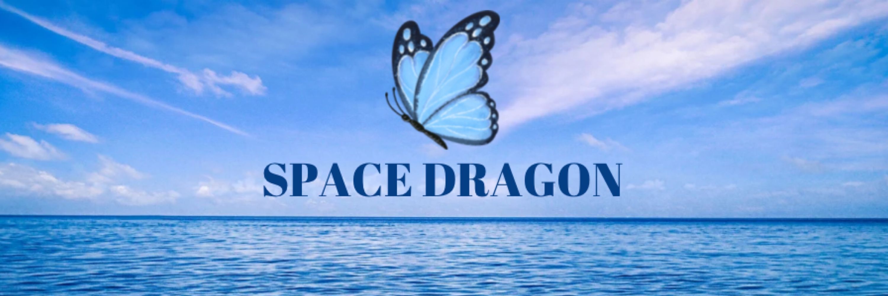 SPACE DRAGON（スペース ドラゴン）