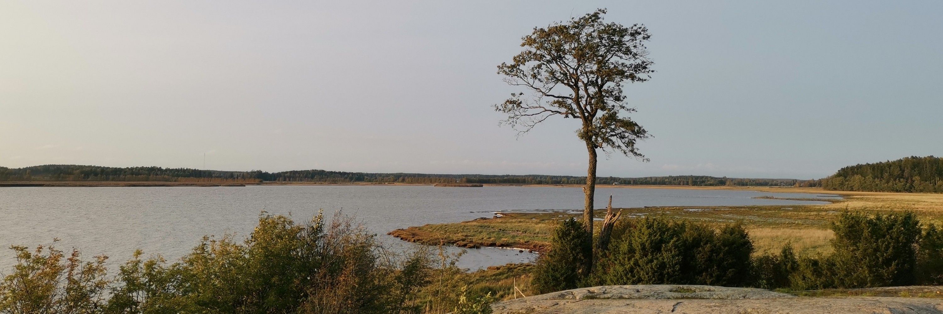 Salla-Riikka Kuusalu