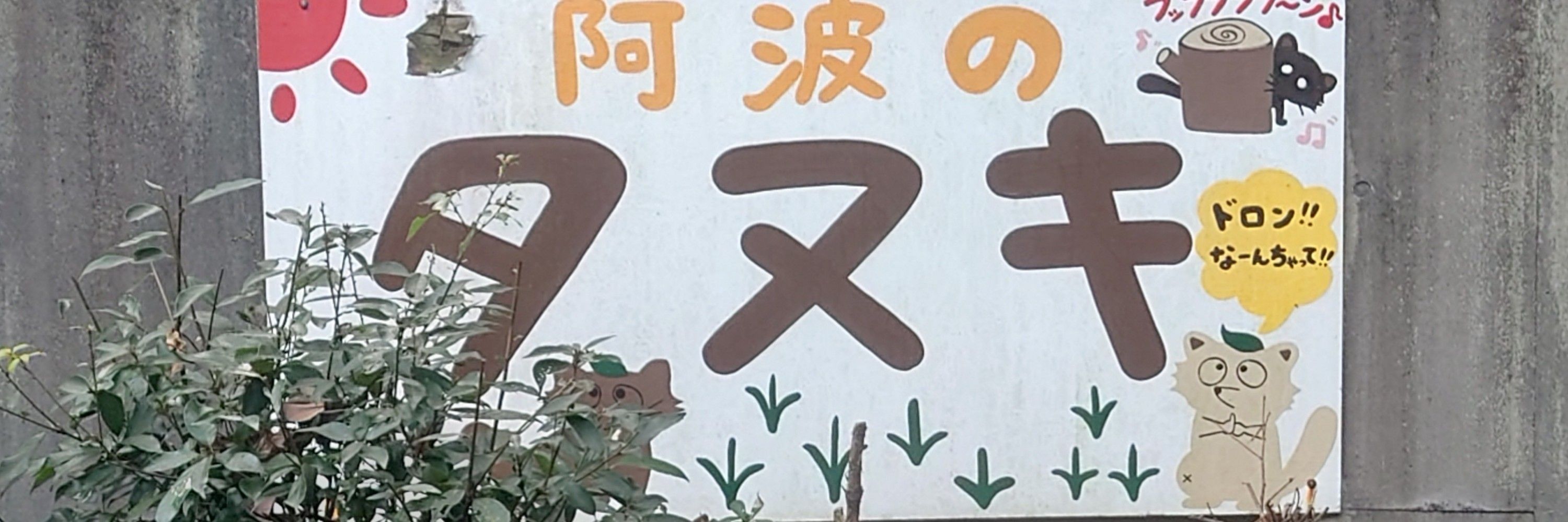 たぬきうどんランド