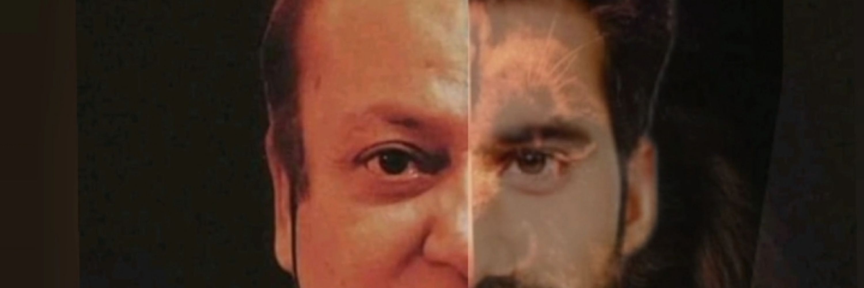 شادی نواز شریف کی دیوانی سے
