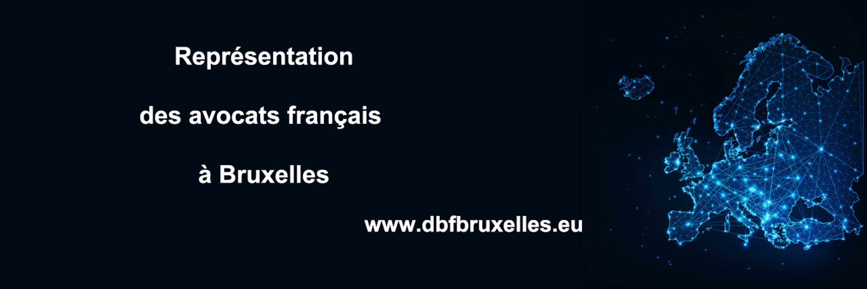 Délégation des Barreaux de France