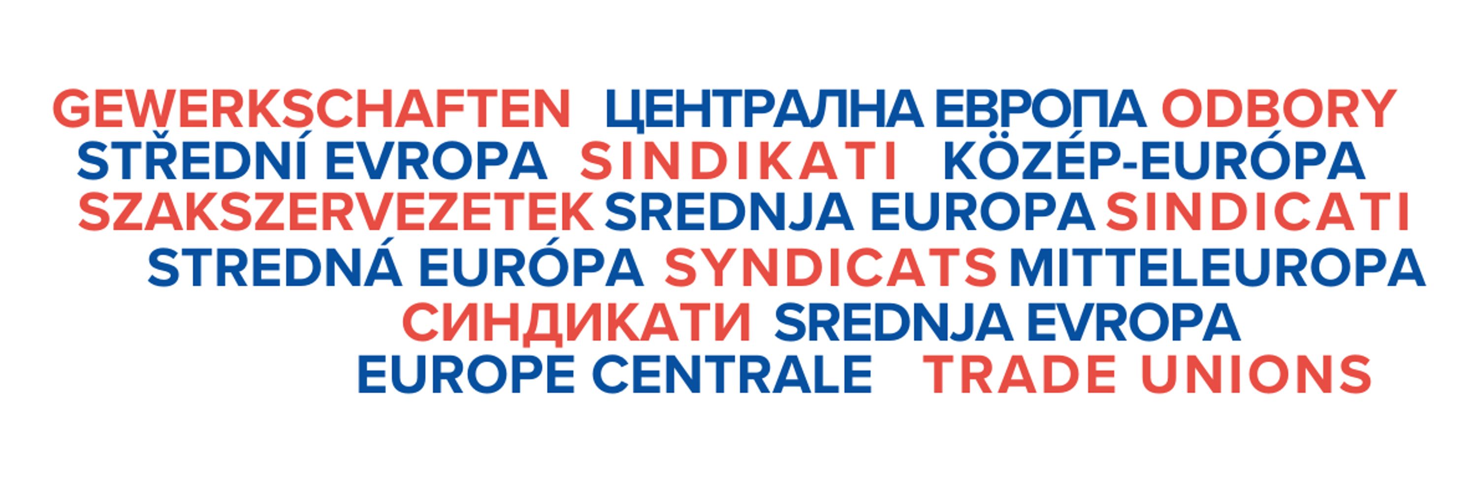 Central European Trade Union Network (CETUN)