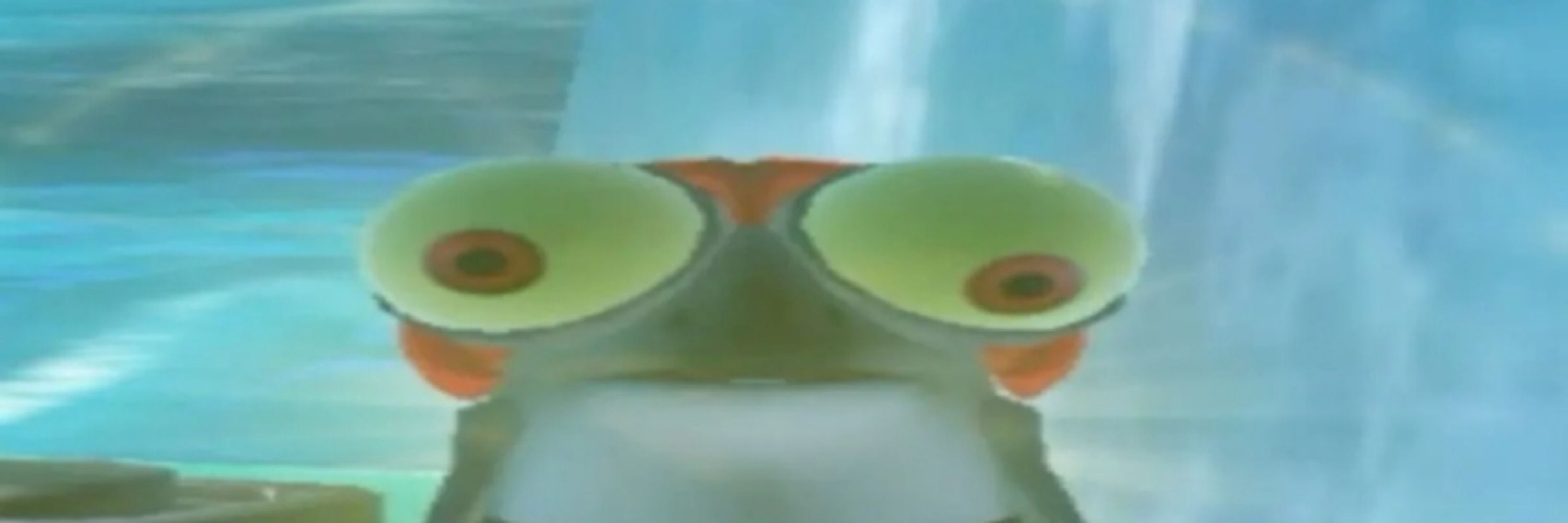 🐸🌱🦦🪱