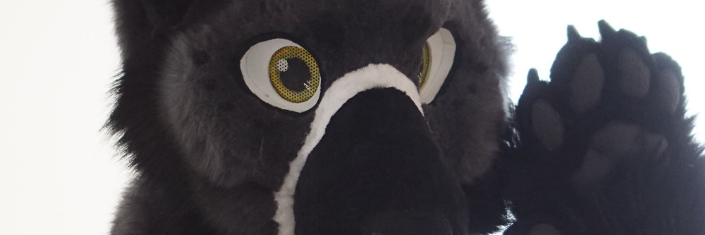 よもぎ